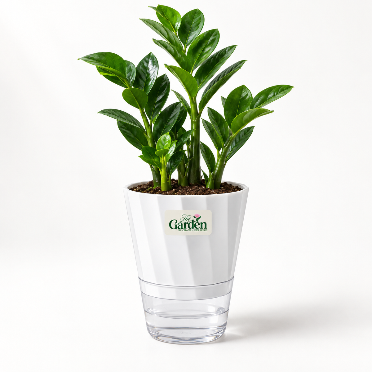 Premium Self-Watering Plant Pot, ABS with Crystal Reservoir — Large 5 inch
