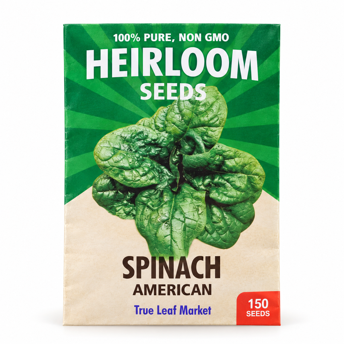 Spinach Seeds — America (Heat Tolerant Savoy)