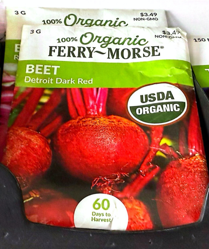 Beet - Detroit Dark Red