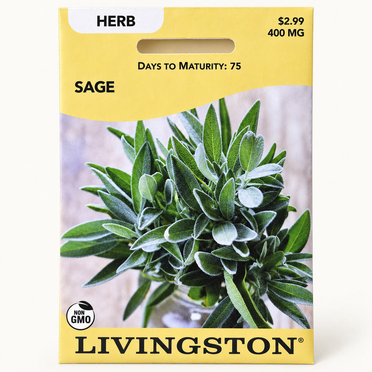 Livingston Sage Seeds