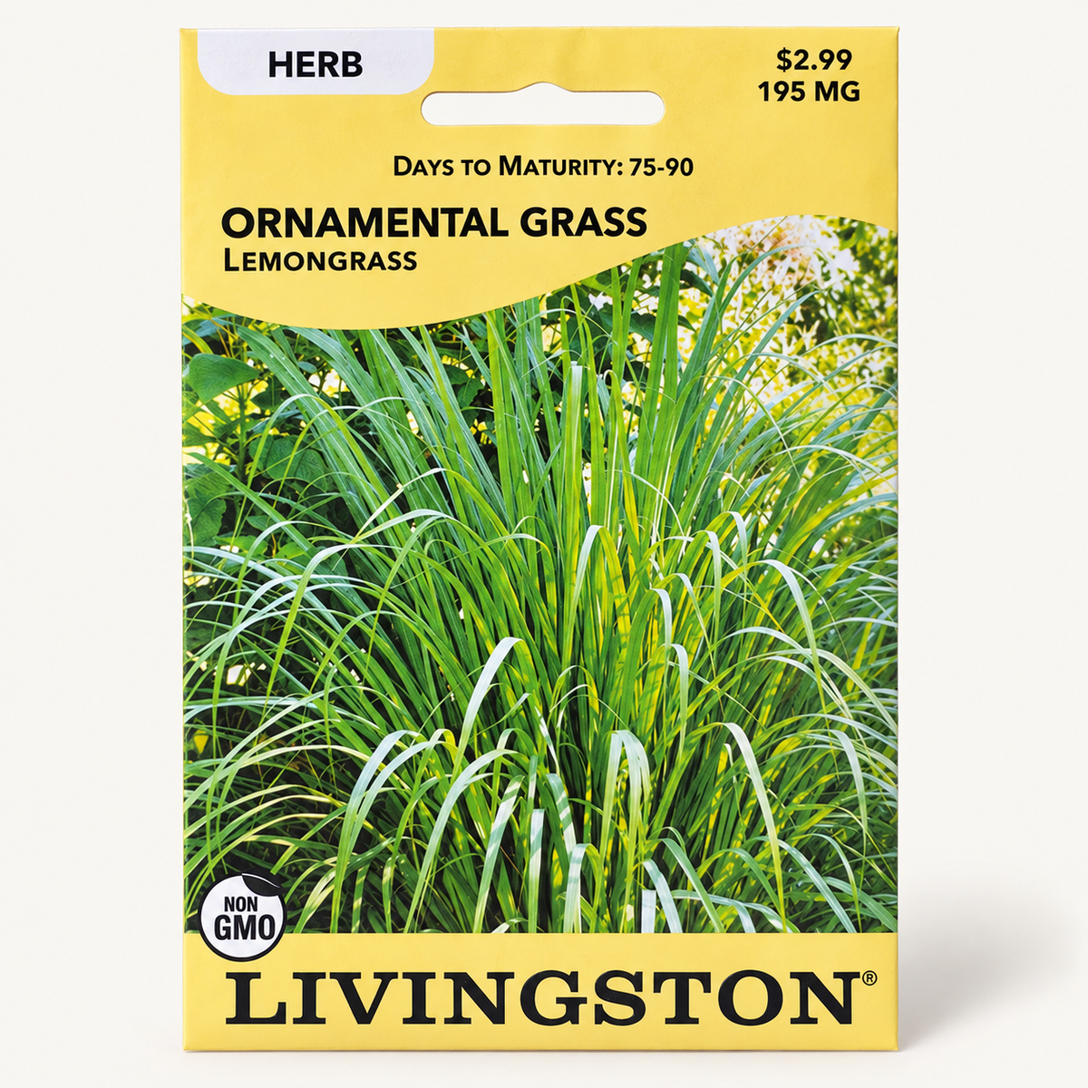Lemongrass Seeds