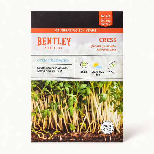 Cress Sprouting Curled Seeds