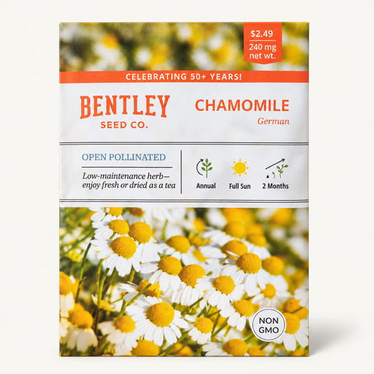 Chamomile German Seeds