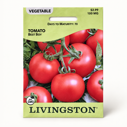Tomato Best Boy Seeds