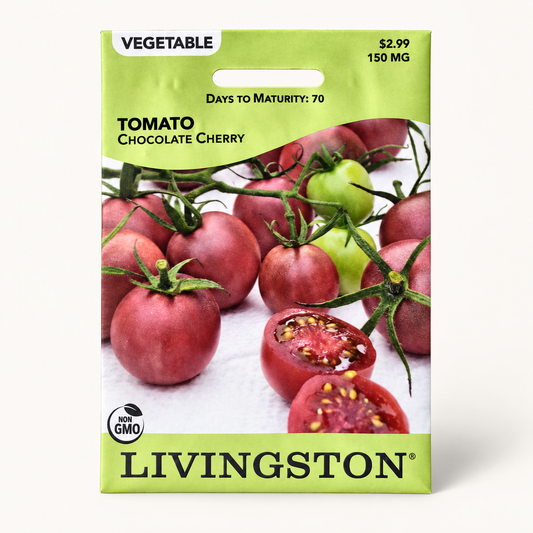 Tomato Chocolate Cherry Seeds