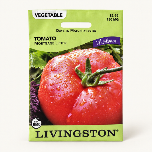 Tomato Mortgage Lifter Seeds
