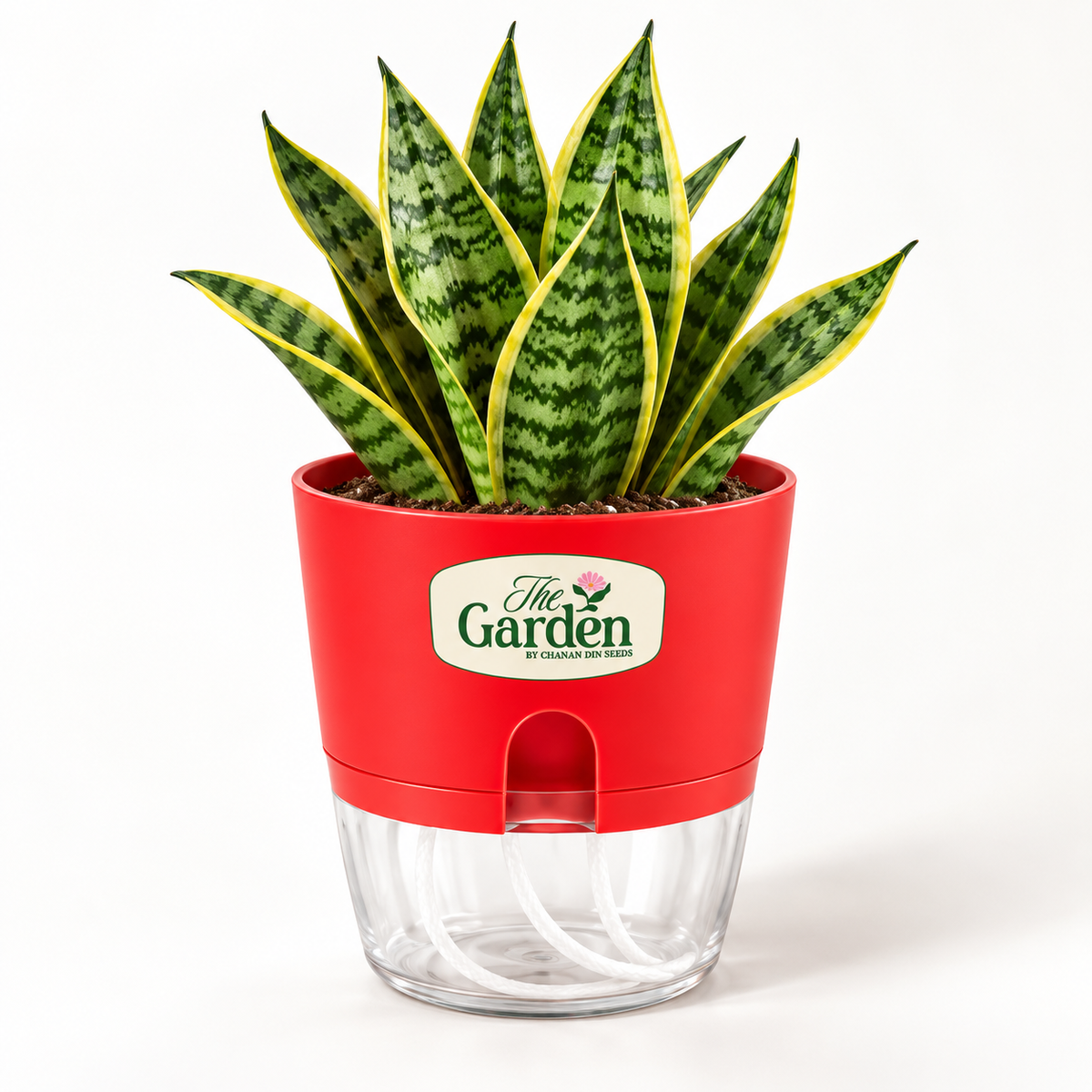 Self-Watering Plant Pot with Water Reservoir — Small 4.5 inch