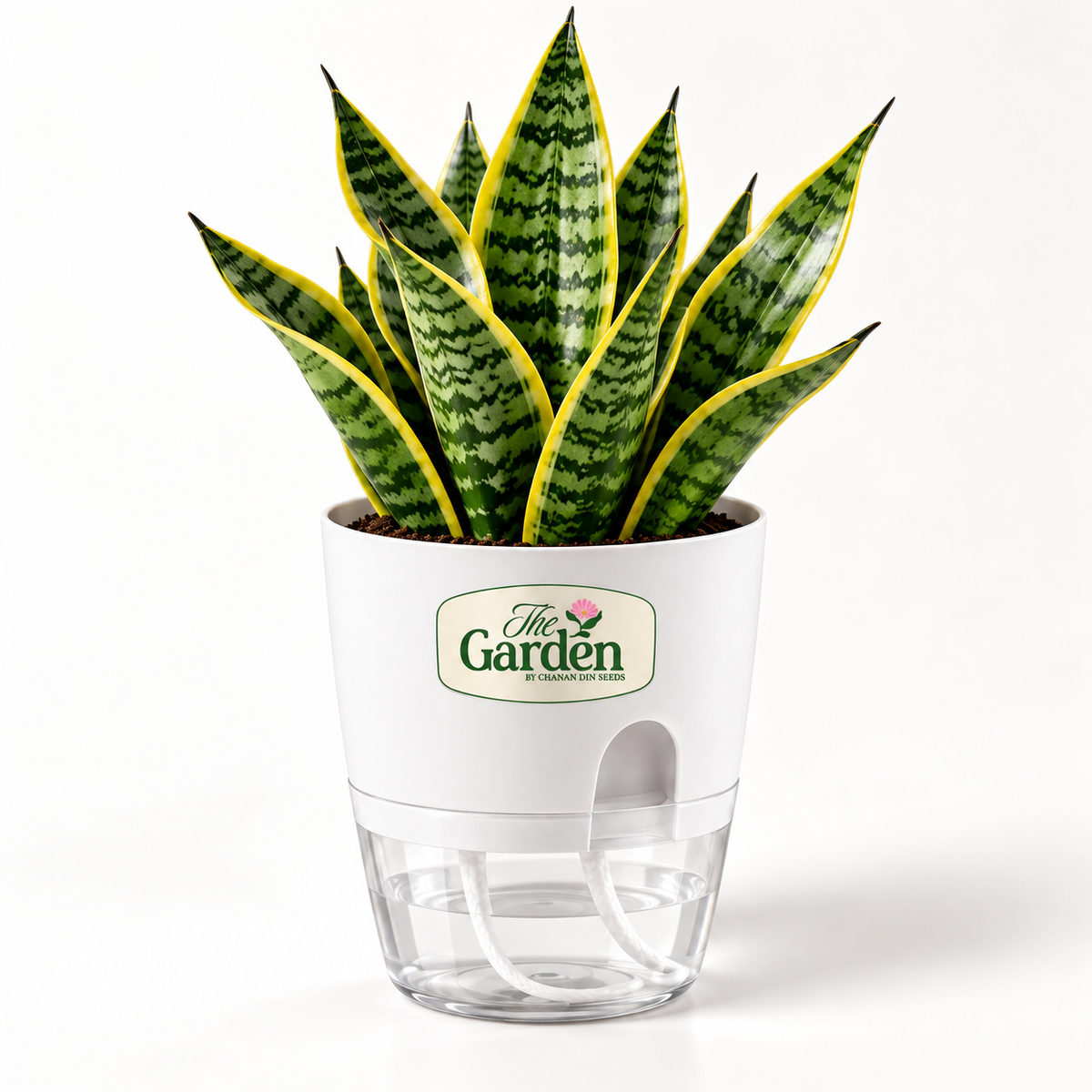 Self-Watering Plant Pot with Water Reservoir — Small 4.5 inch