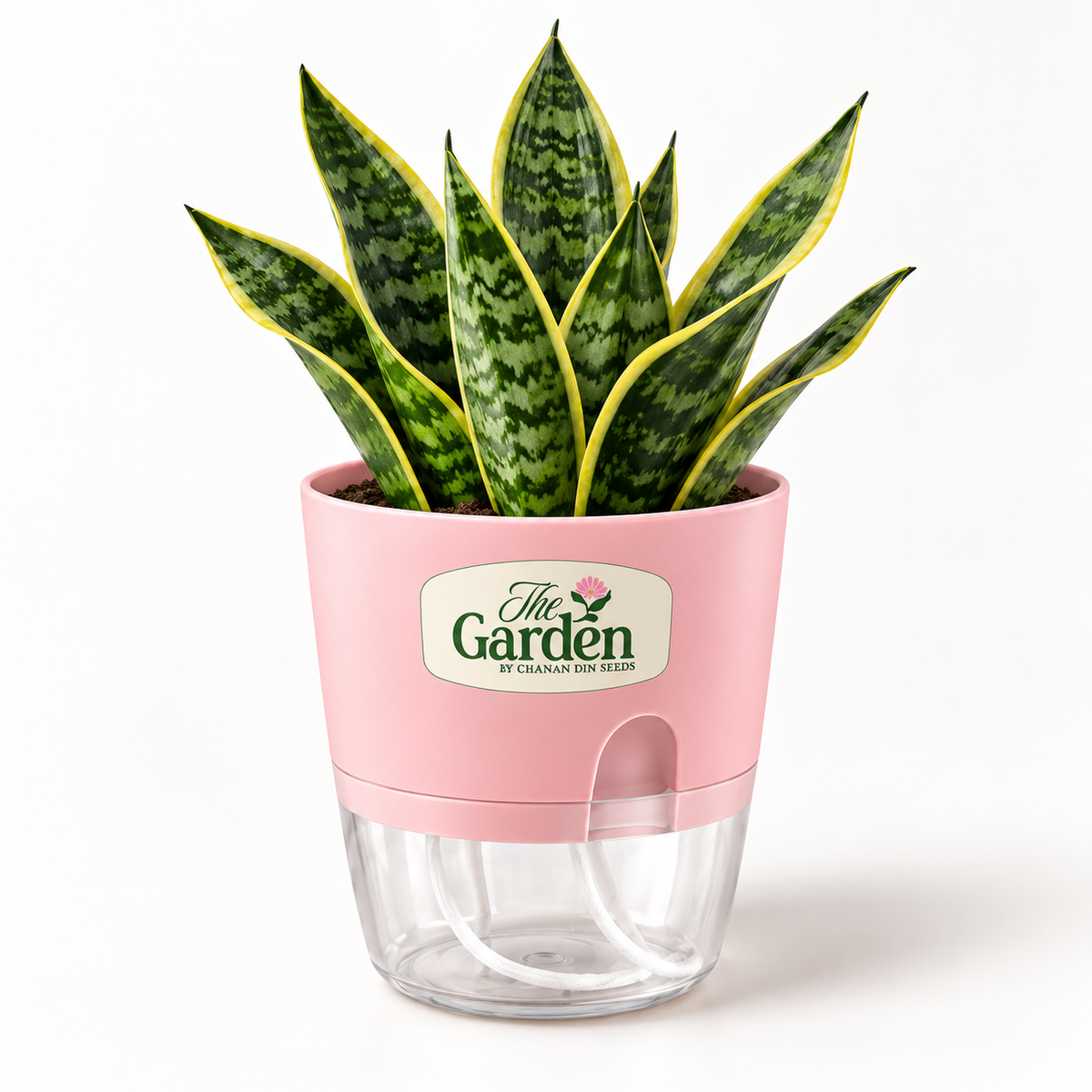 Self-Watering Plant Pot with Water Reservoir — Small 4.5 inch