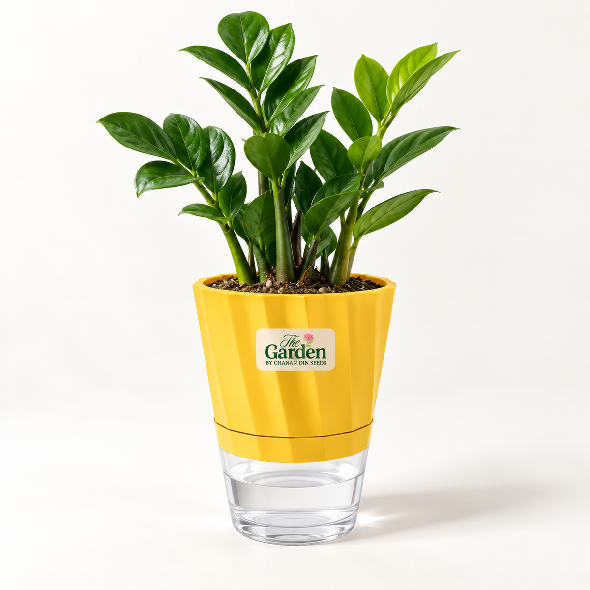 Premium Self-Watering Plant Pot, ABS with Crystal Reservoir — Large 5 inch