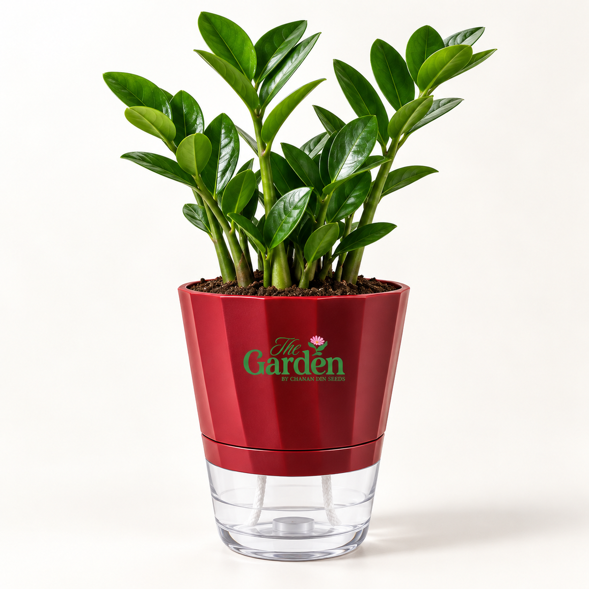 Premium Self-Watering Plant Pot, ABS with Crystal Reservoir — Large 5 inch