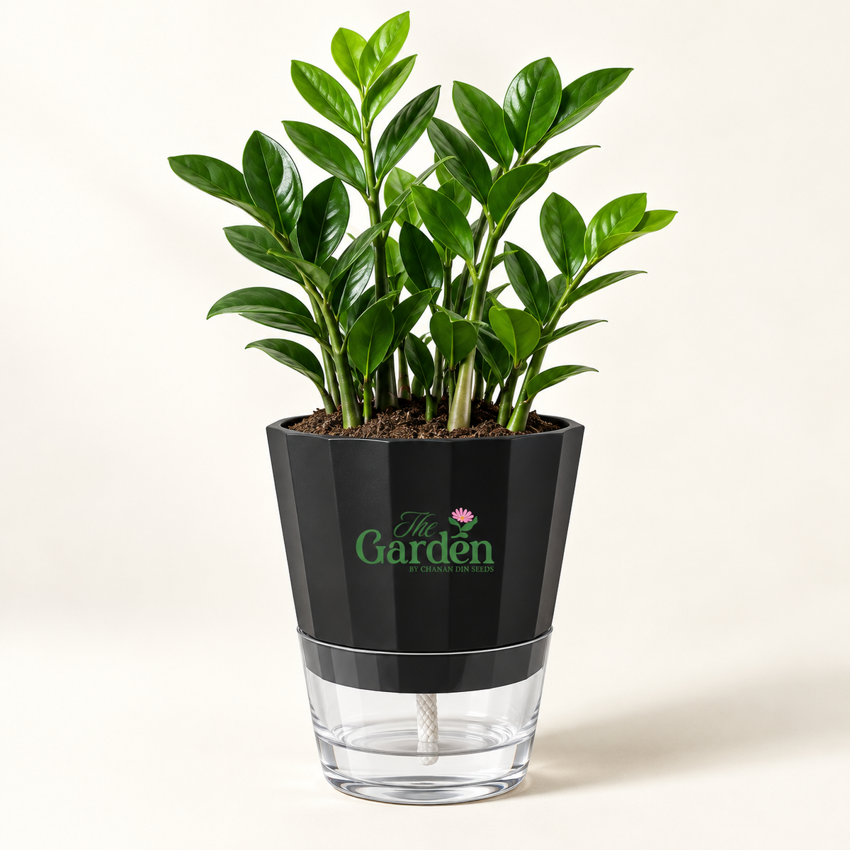 Premium Self-Watering Plant Pot, ABS with Crystal Reservoir — Large 5 inch