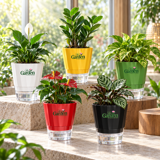 Premium Self-Watering Plant Pot, ABS with Crystal Reservoir — Large 5 inch