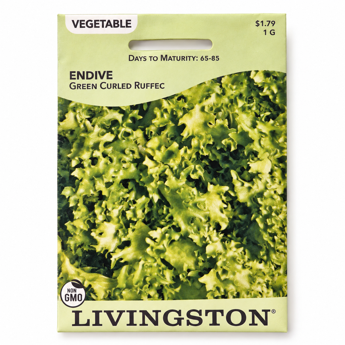 Endive Green Curled Ruffec Seeds