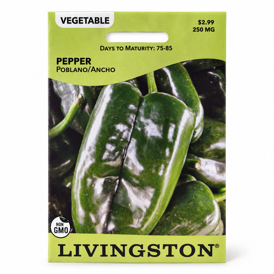 Pepper Poblano Ancho Seeds