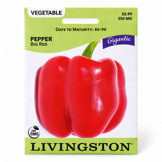 Pepper Big Red Seeds