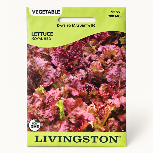 Lettuce Royal Red Seeds