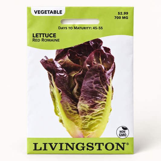 Lettuce Red Romaine Seeds