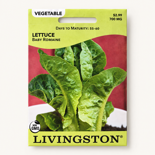 Lettuce Baby Romaine Seeds