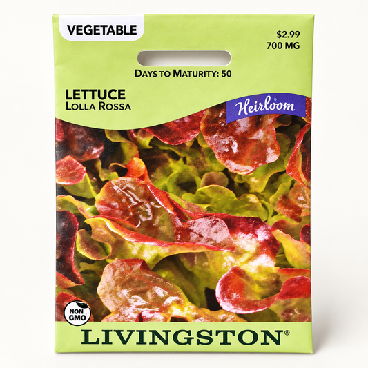 Lettuce Lolla Rossa Seeds