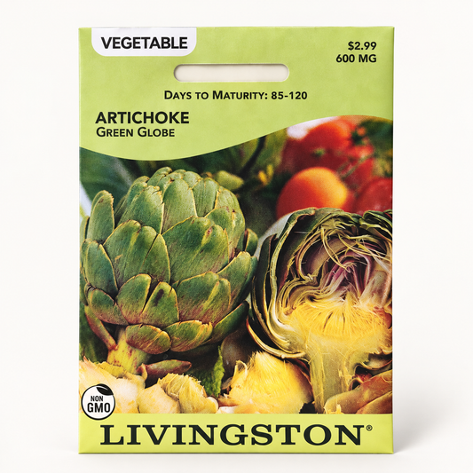 Artichoke Green Globe Seeds