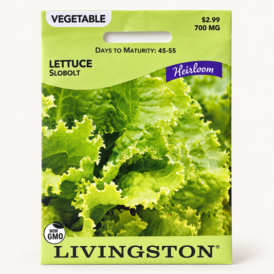 Lettuce Slobolt Seeds