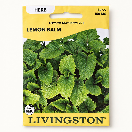 Lemon Balm Seeds