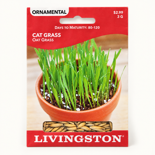 Cat Grass Seeds