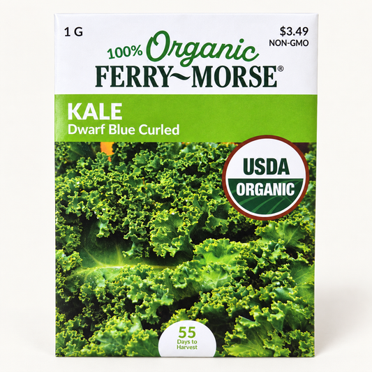 Organic Kale Dwarf Blue Curled Seeds