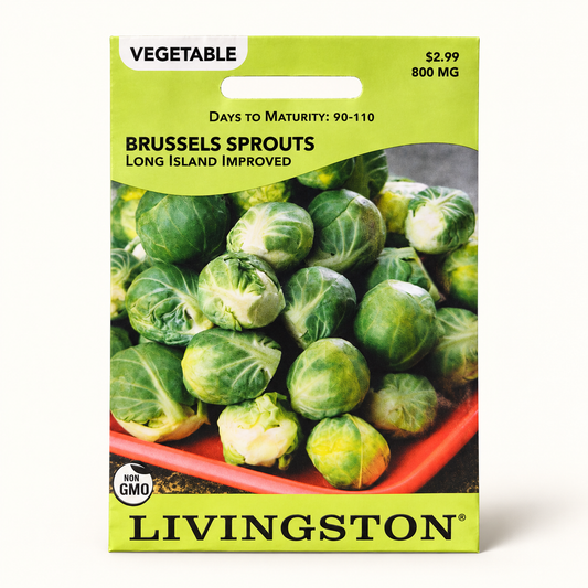 Brussels Sprouts Long Island Improved Seeds