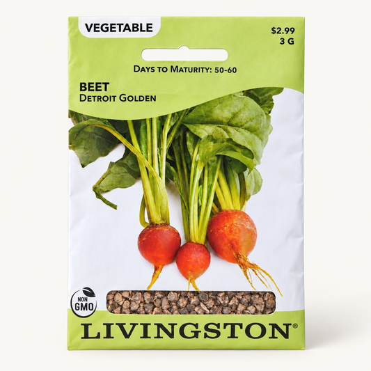 Beet Detroit Golden Seeds