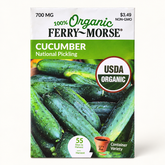 Organic Cucumber National Pickling Seeds