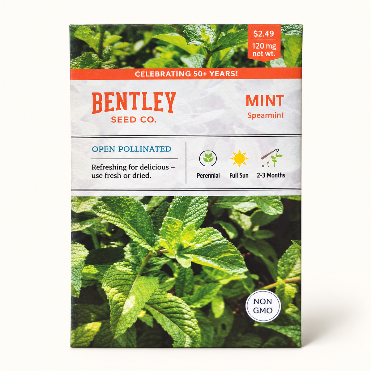 Spearmint Seeds