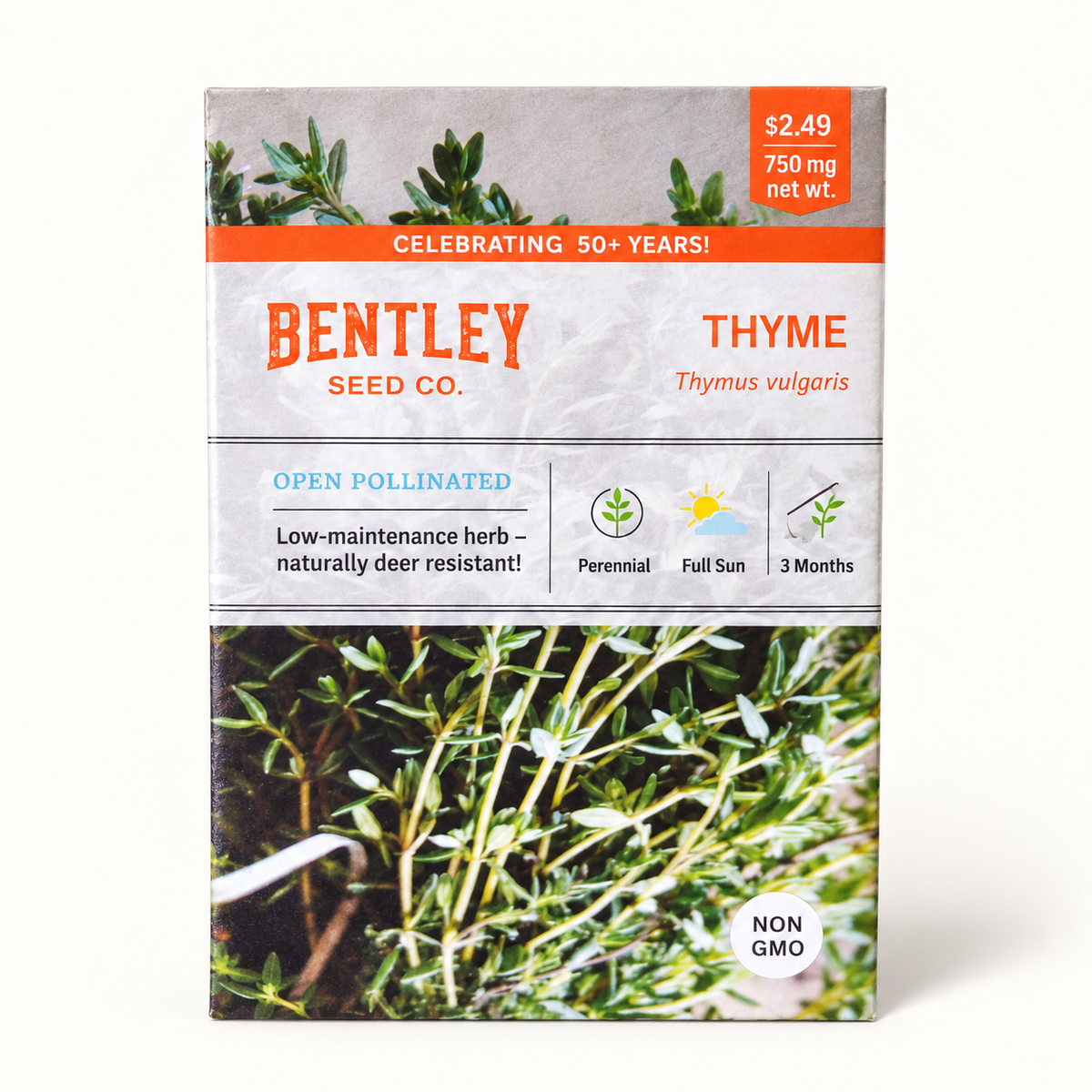 Thyme Seeds