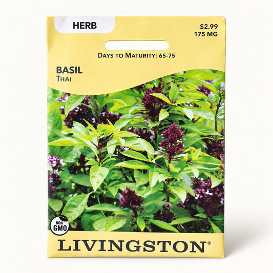 Basil Thai Seeds