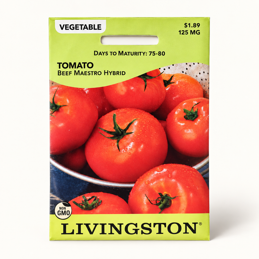Tomato Beef Maestro Hybrid Seeds