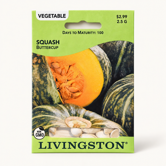 Squash Buttercup Seeds