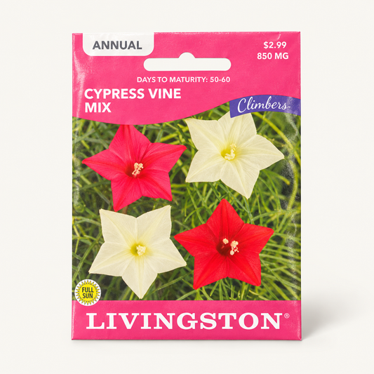 Livingston Cypress Vine Mix Seeds