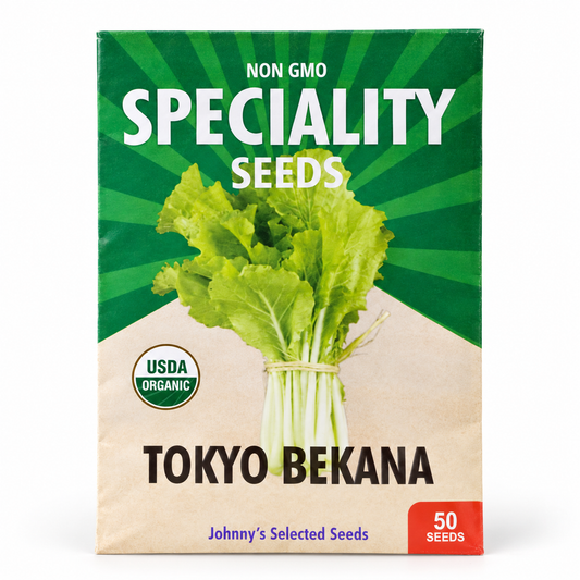 Tokyo Bekana Seeds — Organic Chinese Cabbage