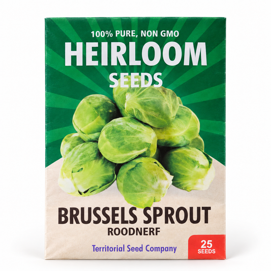Brussels Sprout Seeds — Roodnerf (Open-Pollinated Heirloom)