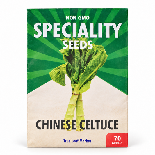 Chinese Celtuce Seeds — Summer 38 (Stem Lettuce)