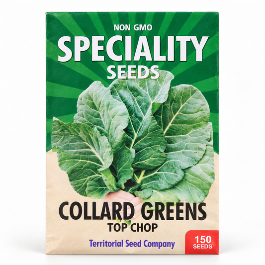 Collard Greens Seeds — Top Chop F1