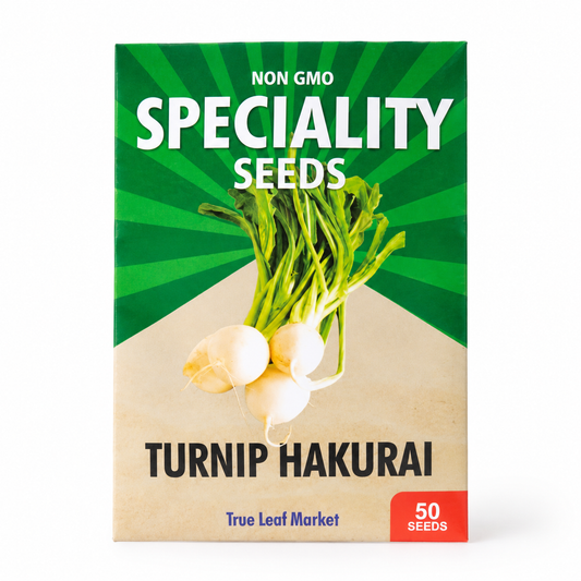 Turnip Seeds — Hakurei F1 (Sweet Salad Turnip)
