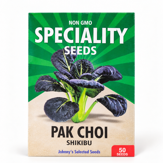 Pak Choi Seeds — Shikibu F1 (Purple Leaf)