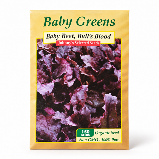 Beet Greens Seeds — Bull's Blood (Organic Baby Leaf)