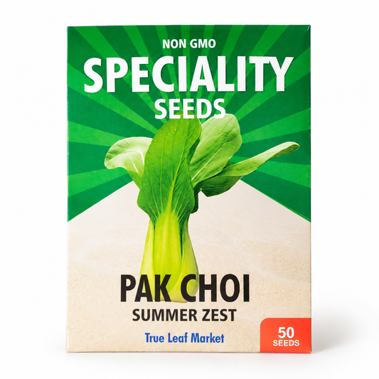 Pak Choi Seeds — Summer Zest F1 (Shanghai Type)