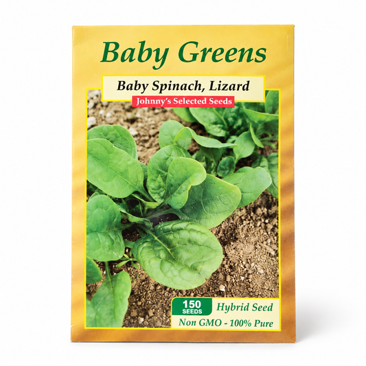 Baby Spinach Seeds — Lizard F1 (Slow Bolting)