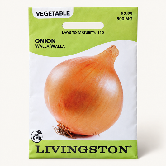 Onion - Walla Walla
