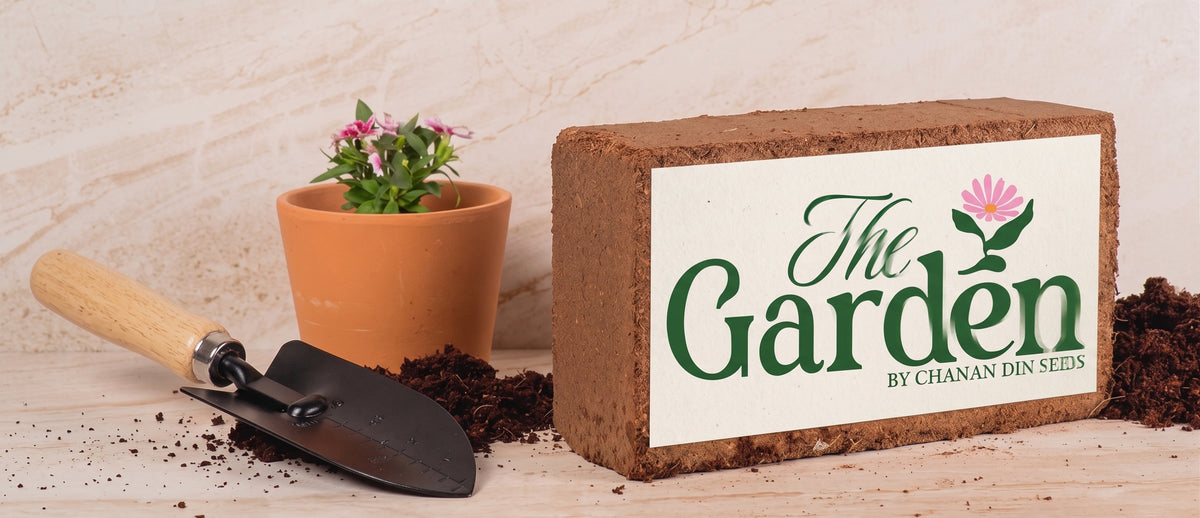 Coco Peat Block — Compressed Cocopeat for Plants
