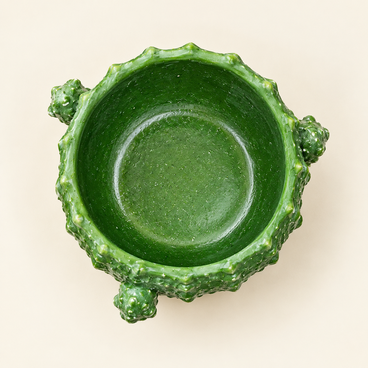 Sirensky Cactus Shape Flower Pot for Succulent Plants